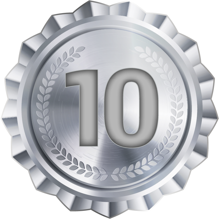10 Year Support Badge